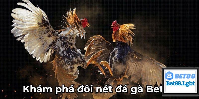 Giới thiệu đá gà BET88